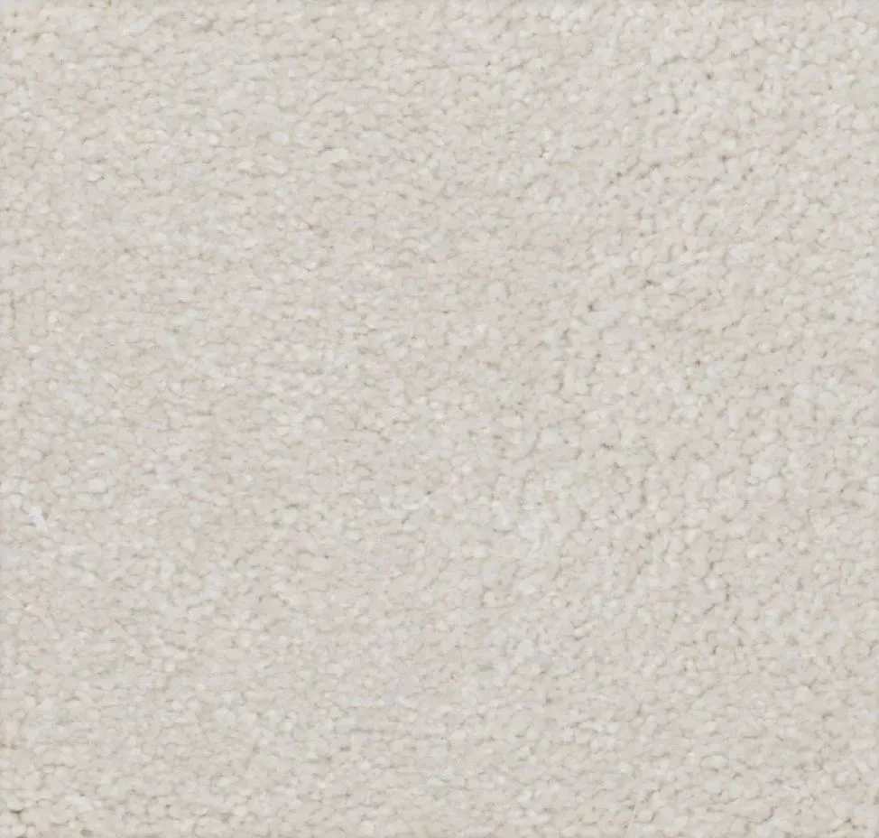 main sample image of Chamois True Admiration