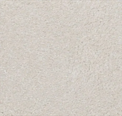 main sample image of Chamois True Admiration