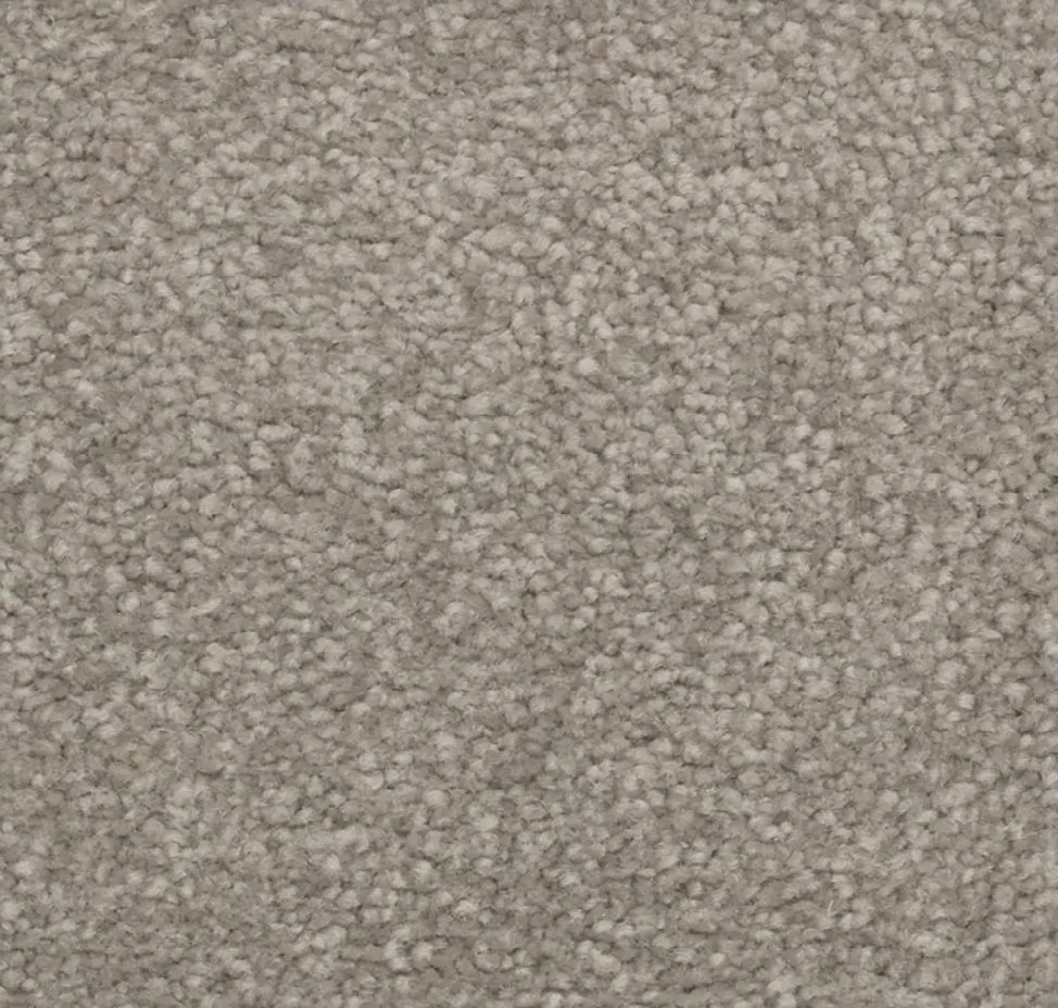 main sample image of Contempo True Admiration