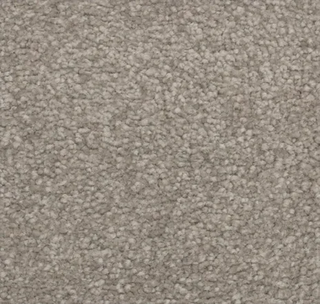 main sample image of Contempo True Admiration