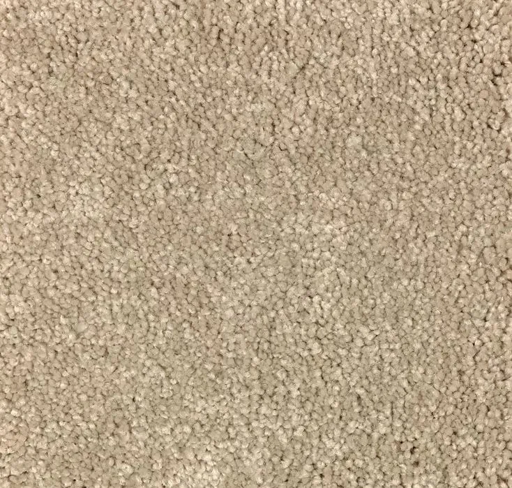 main sample image of Nutria True Admiration