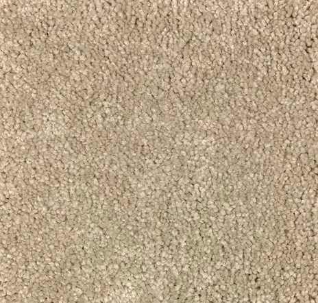 main sample image of Nutria True Admiration