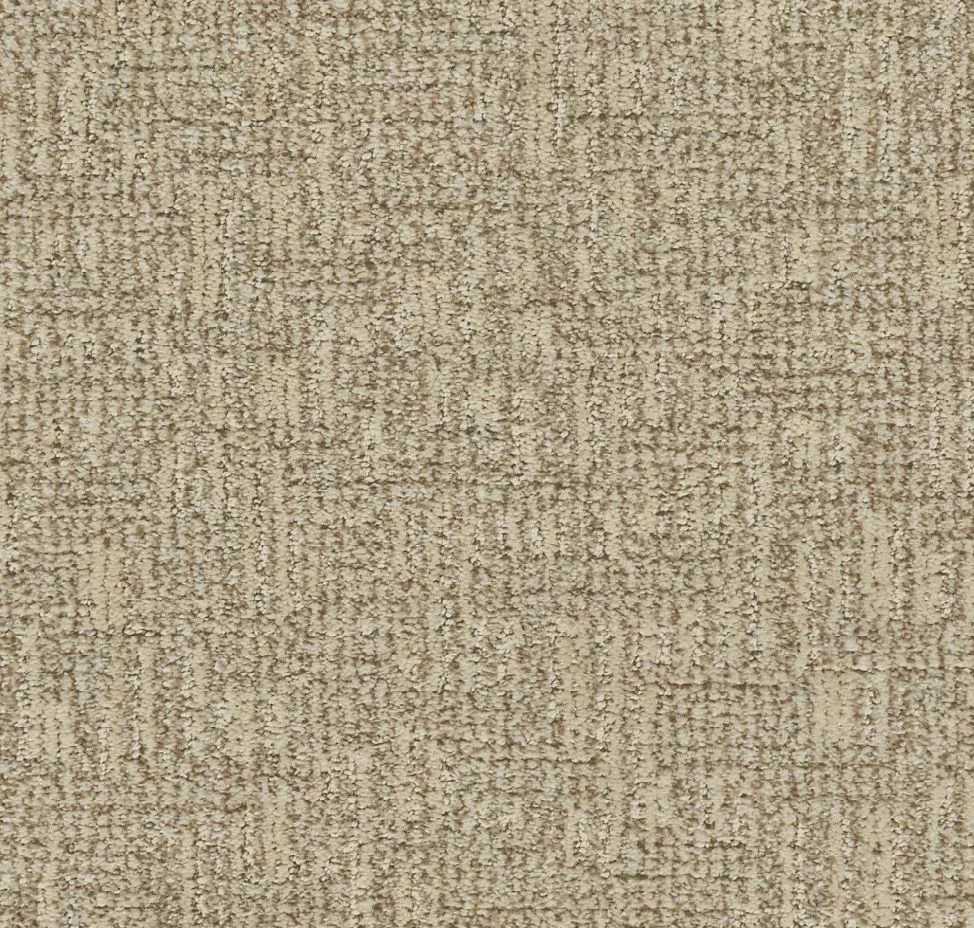 main sample image of Desert Sand Artistic Elegance