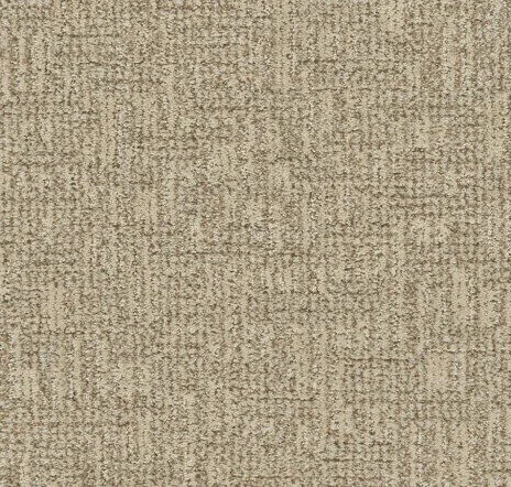 main sample image of Desert Sand Artistic Elegance