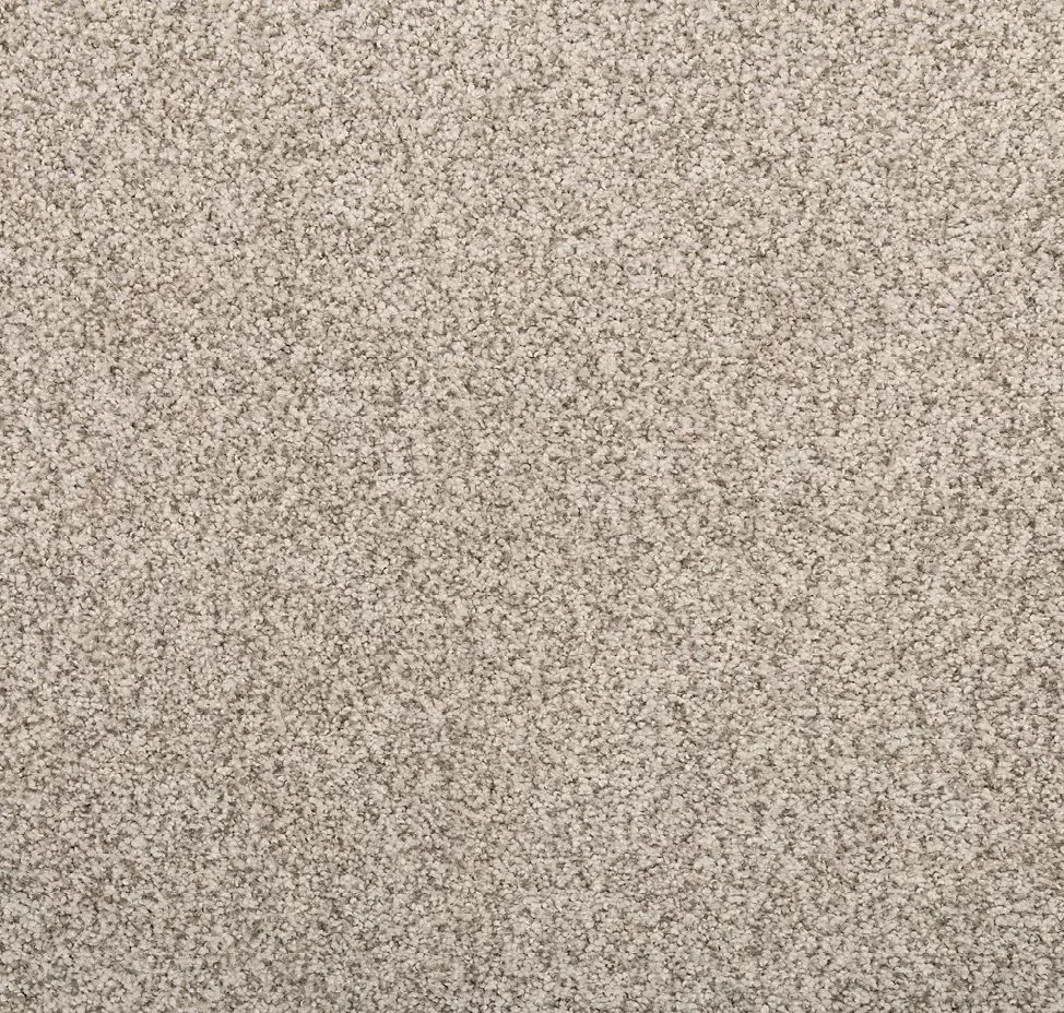 main sample image of Spanish Grey Cordial Mood