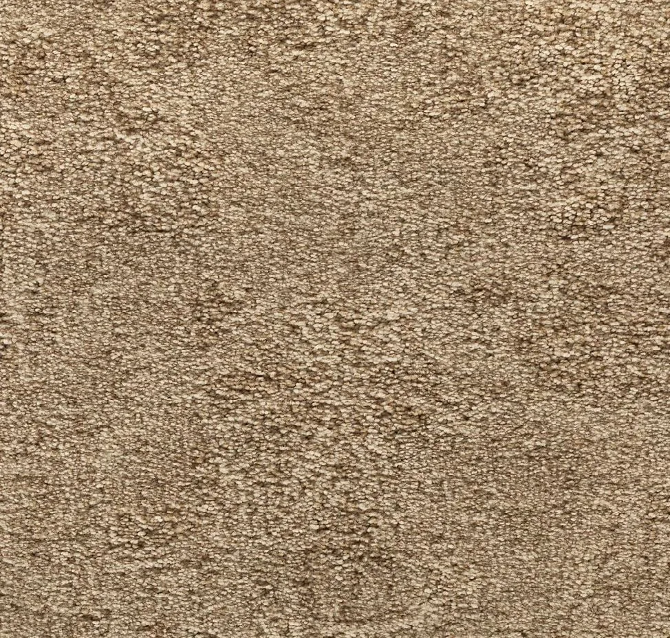 main sample image of Catalina Shore Intriguing Allure