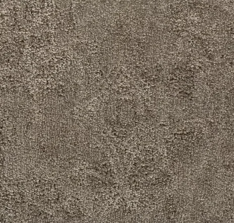 main sample image of Mink Intriguing Allure