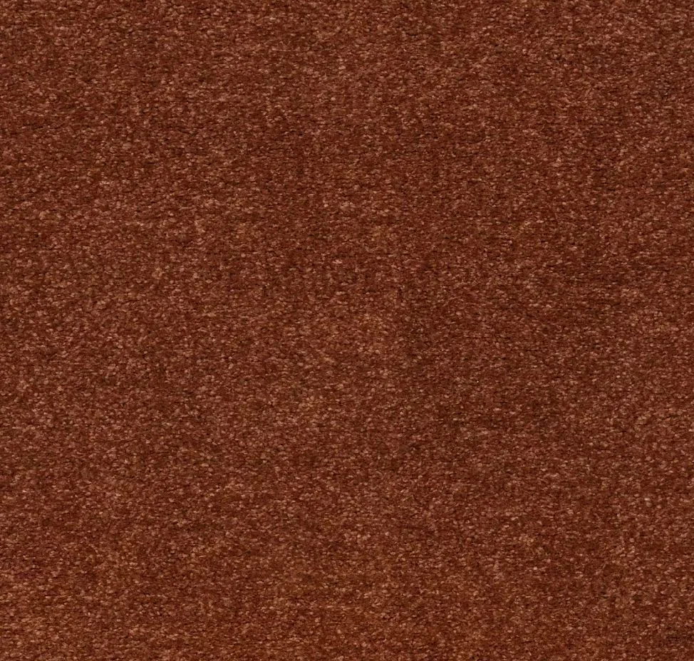 main sample image of Cortez Indescribable Style