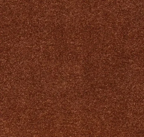 main sample image of Cortez Indescribable Style