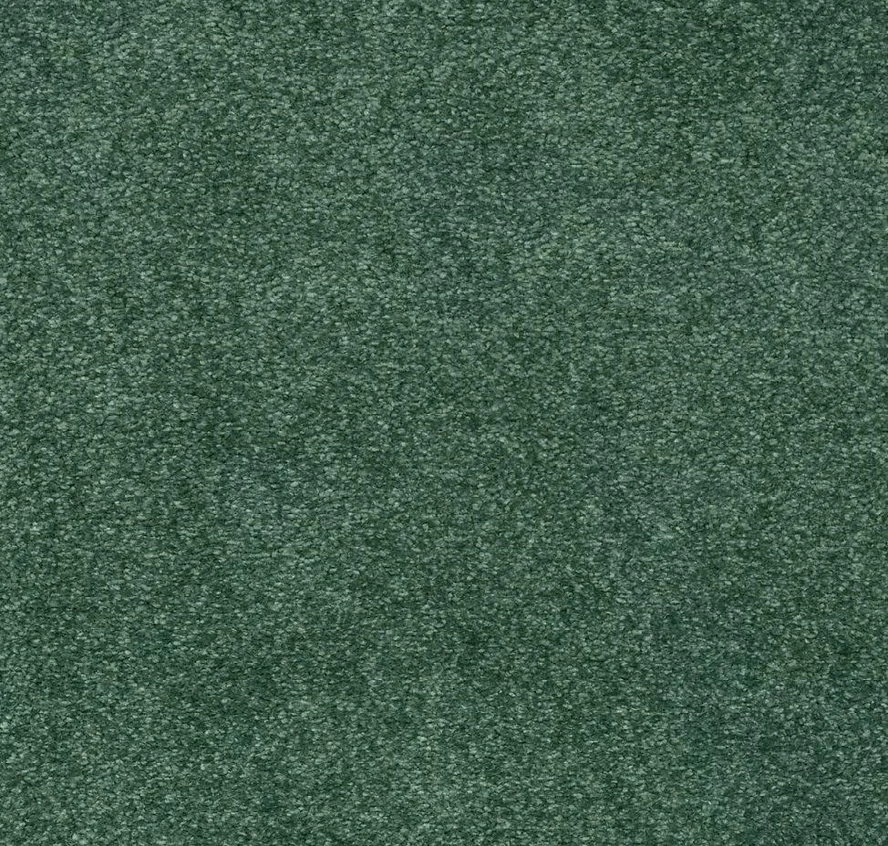 main sample image of Elvin Forest Indescribable Style