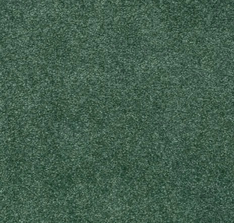 main sample image of Elvin Forest Indescribable Style