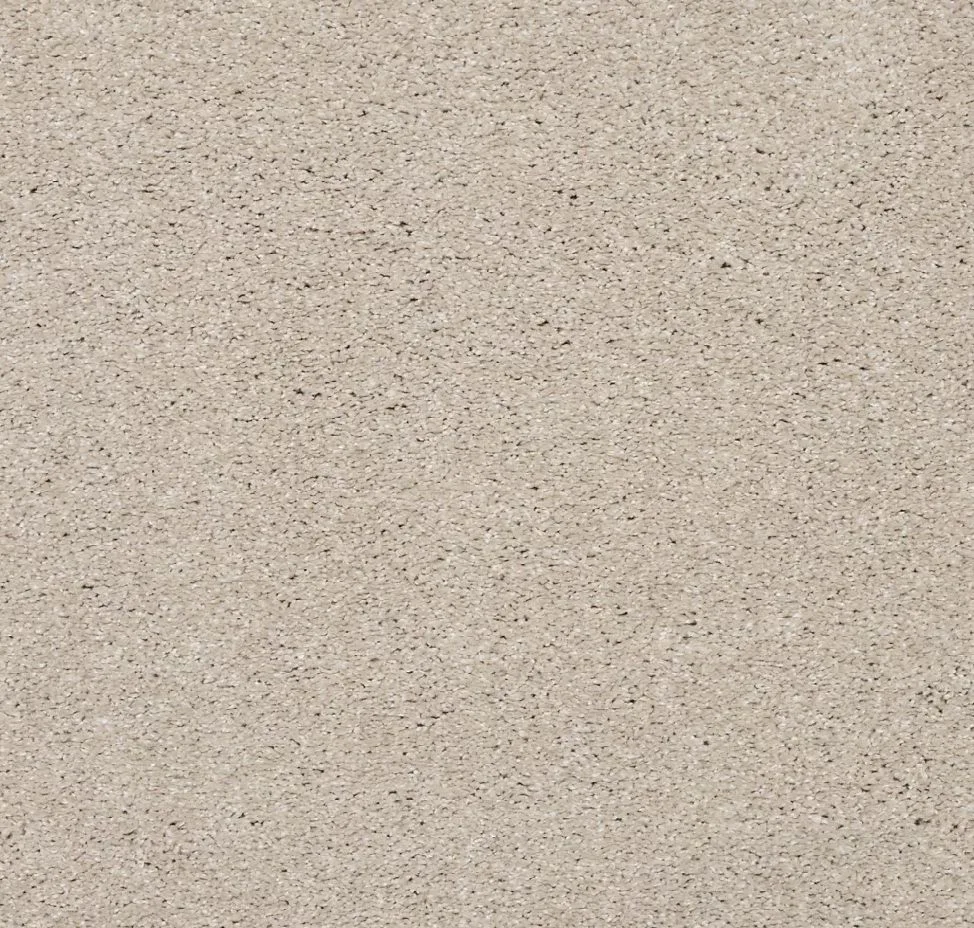 main sample image of South Beach Luxurious Vision