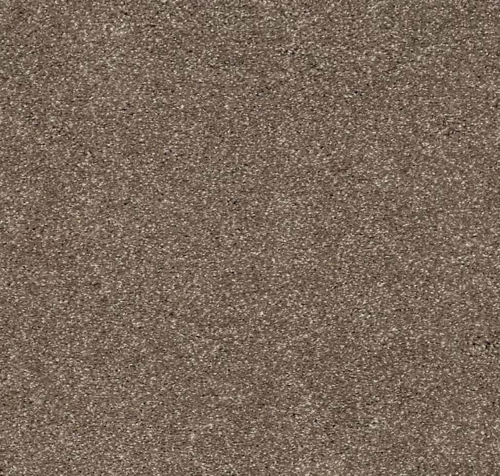 main sample image of English Toffee Luxurious Vision