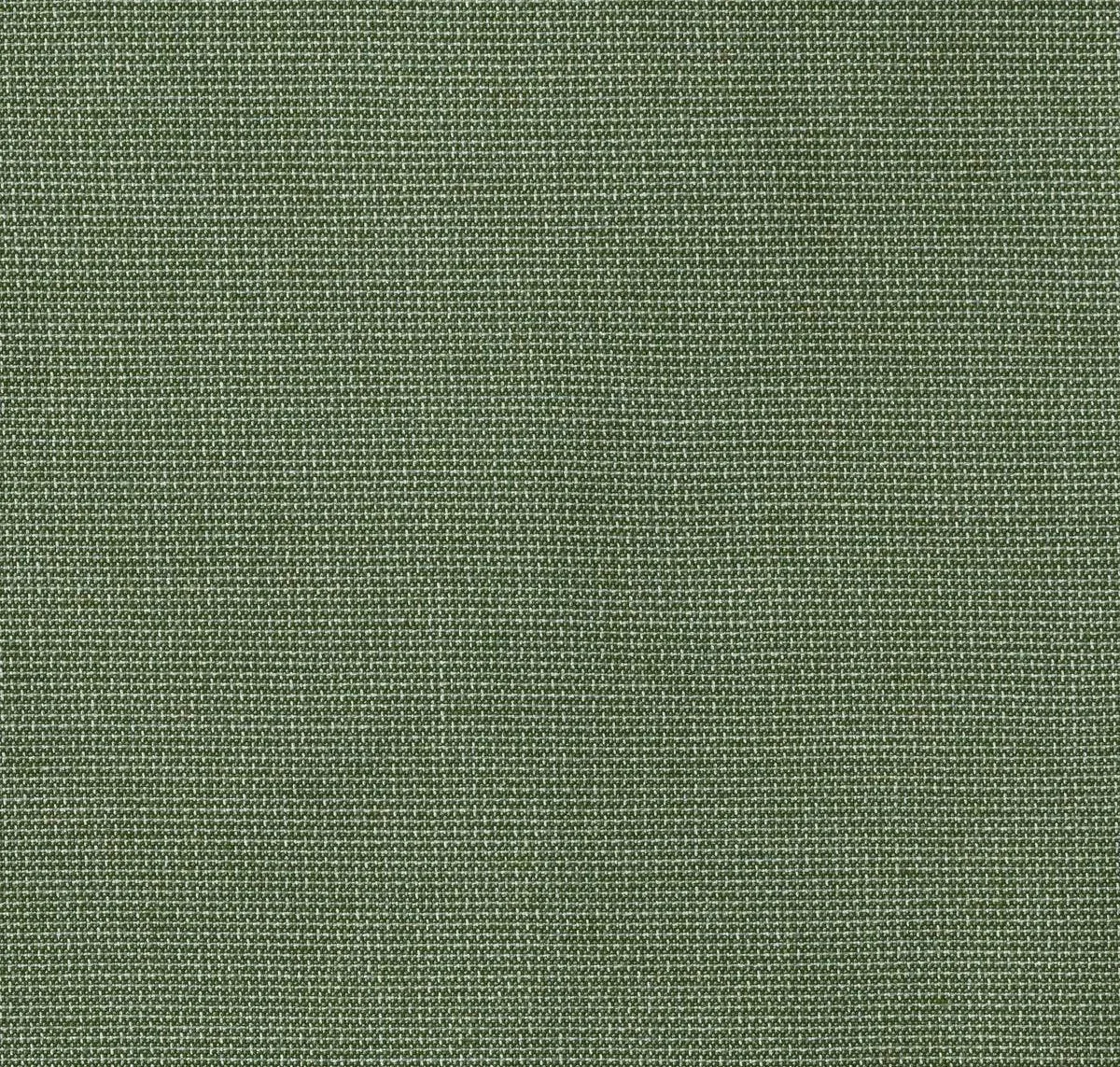 main sample image of Aloe Bliss