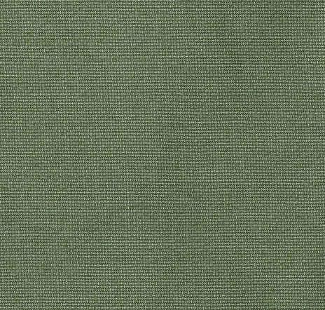 main sample image of Aloe Bliss