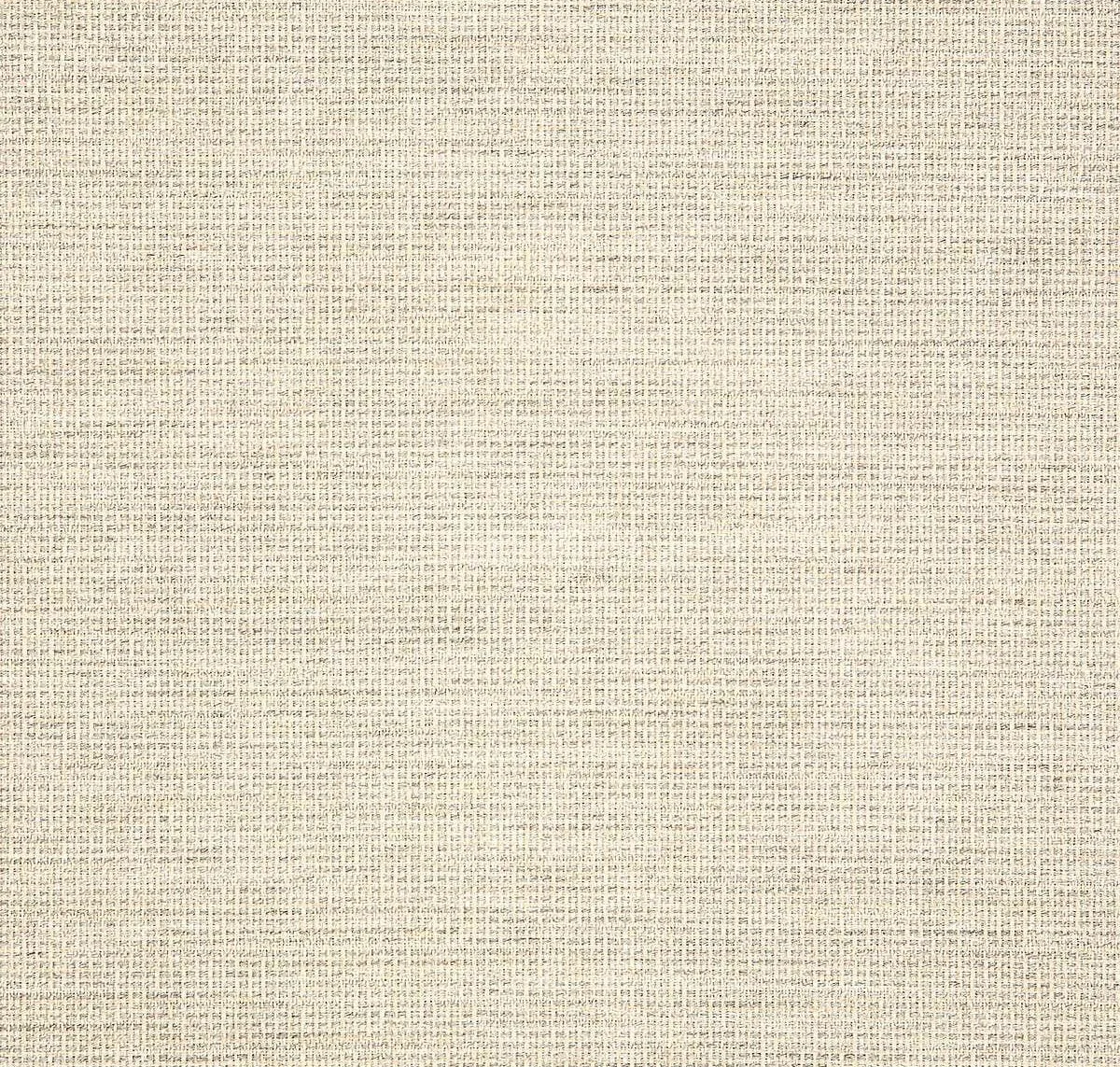 main sample image of Fog Rally