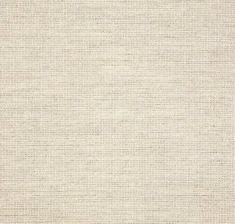 main sample image of Fog Rally