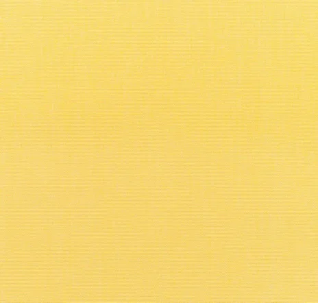 main sample image of Buttercup Canvas