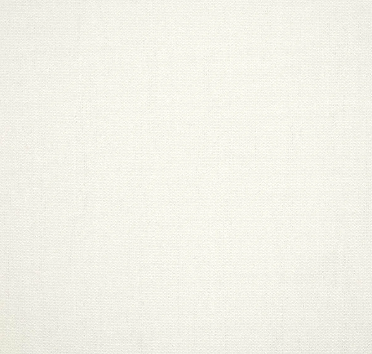 main sample image of White Canvas