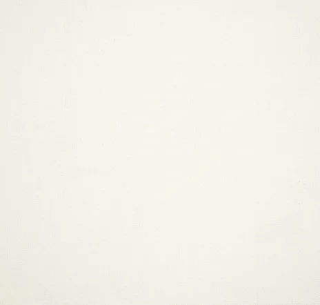 main sample image of White Canvas