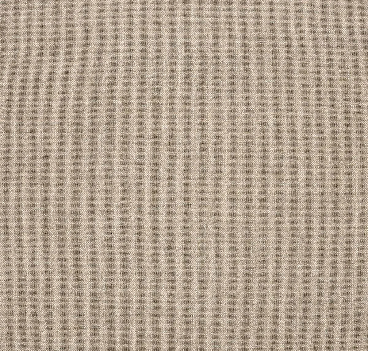 main sample image of Ash Cast