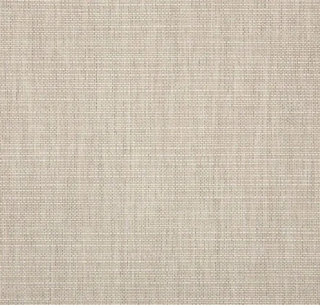 main sample image of Ash Echo