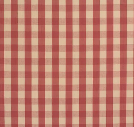 main sample image of Rose And Cream Carsten Check