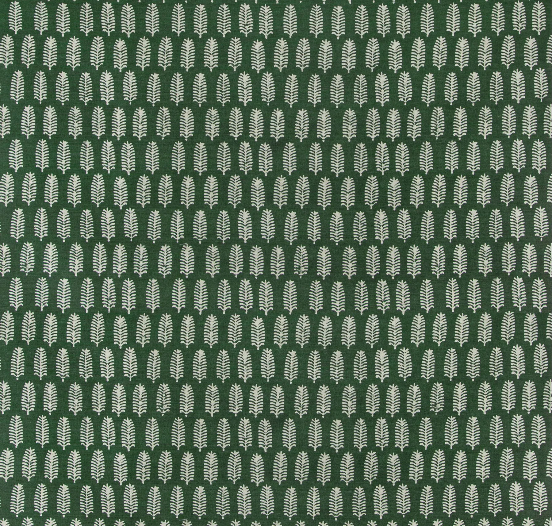 main sample image of Forest Green Palmier