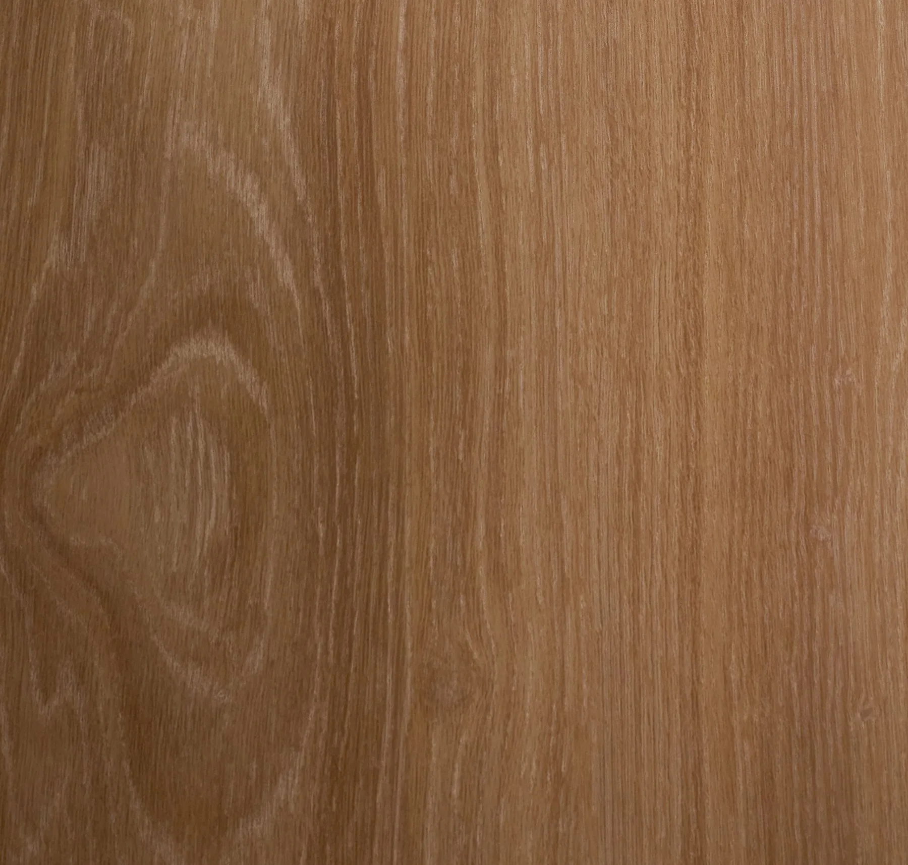 main sample image of Brown Fumed Silk Oak