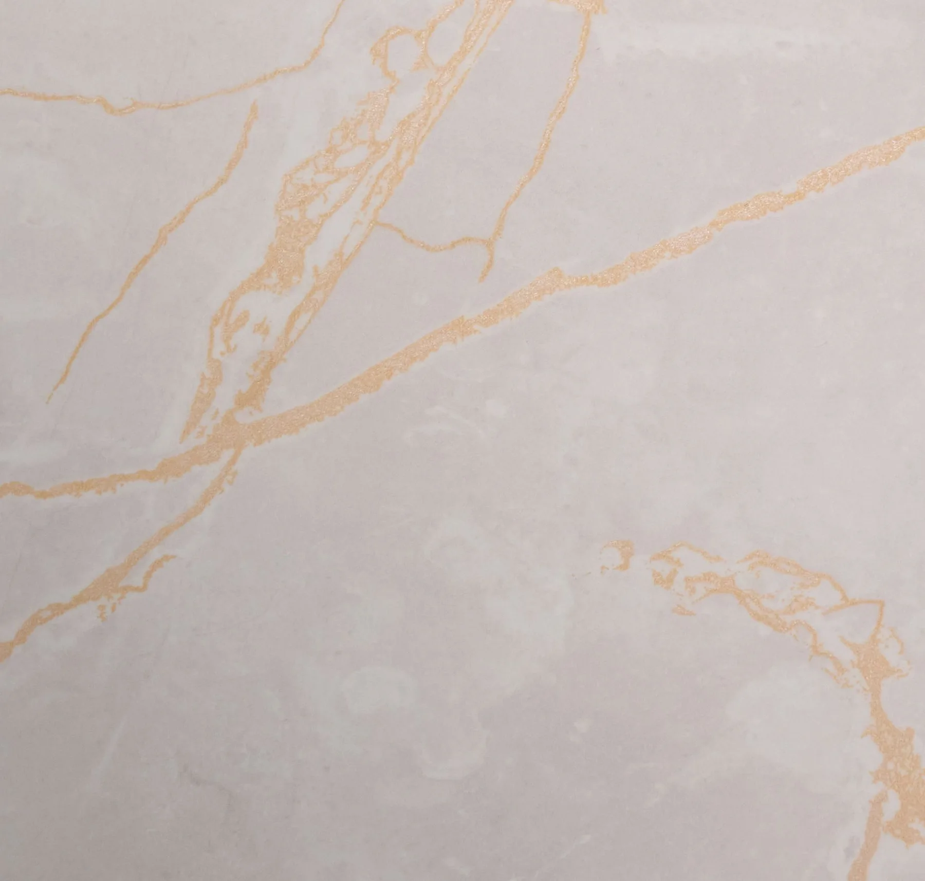 main sample image of Gray Gold Veined Taupe Marble