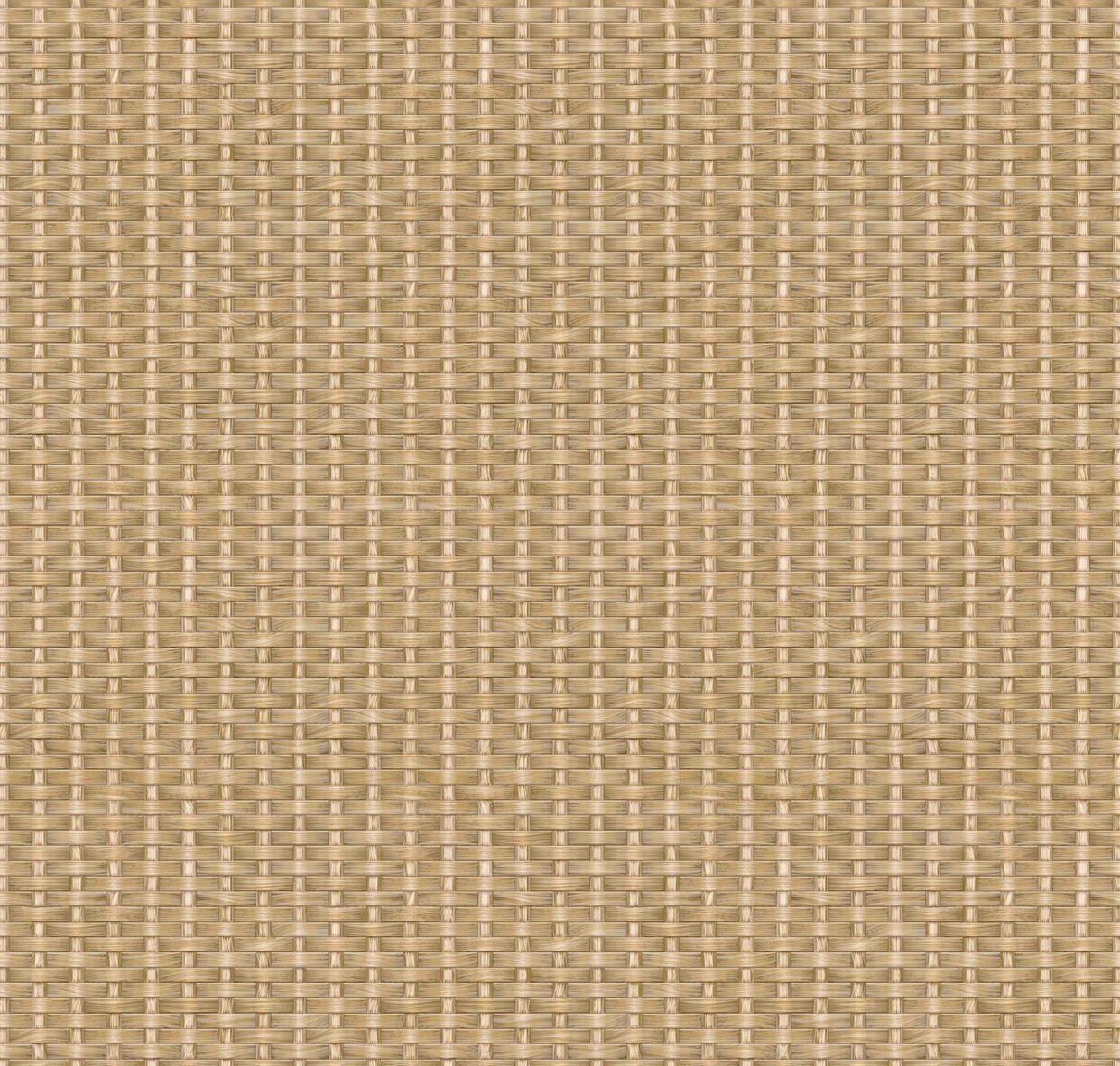 Kuba Raffia | DesignShop