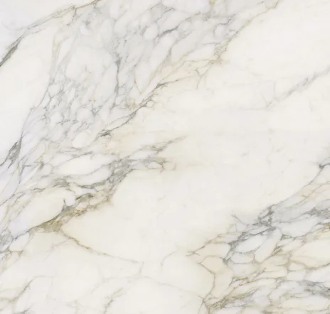 main sample image of White Calacatta Antico