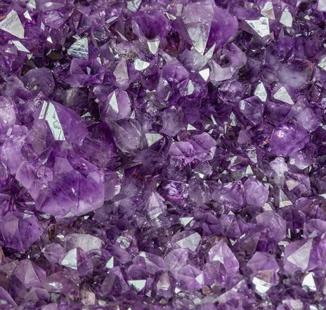 main sample image of Amethyst Royal Pair