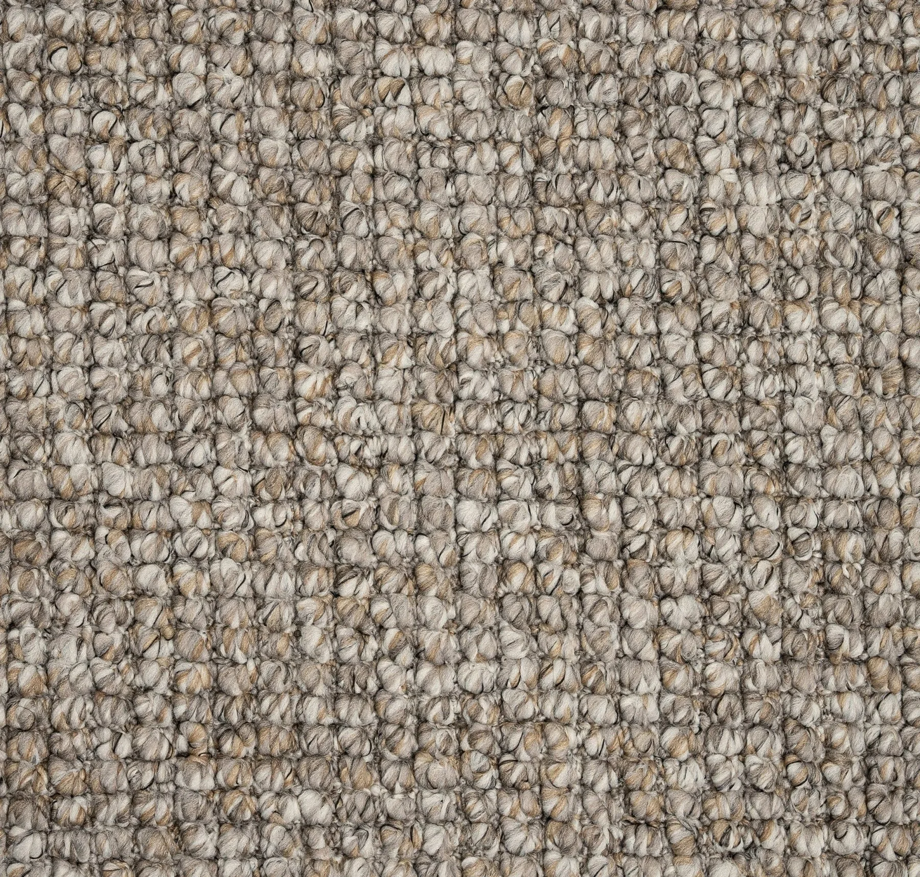 main sample image of Canyon Yosemite Carpet