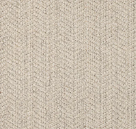 main sample image of Greige Taj Carpet