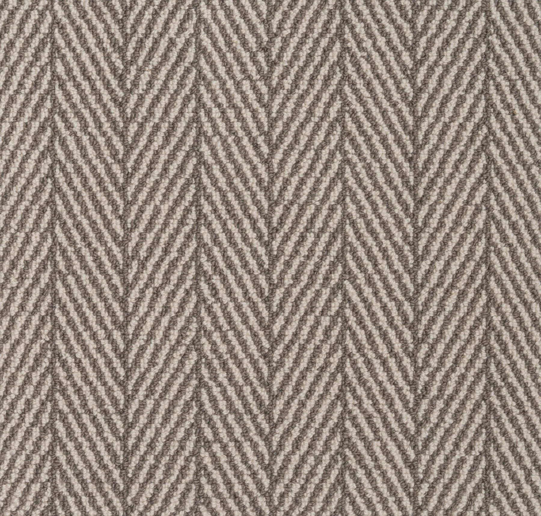 main sample image of Platinum Eastleigh Carpet