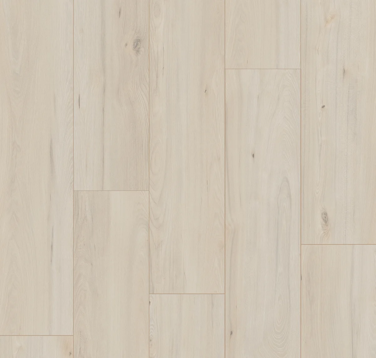 main sample image of Coastal Elm Dune ShoreFlor