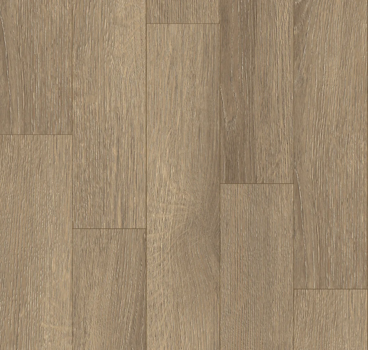 main sample image of Peninsula Oak Cove ShoreFlor