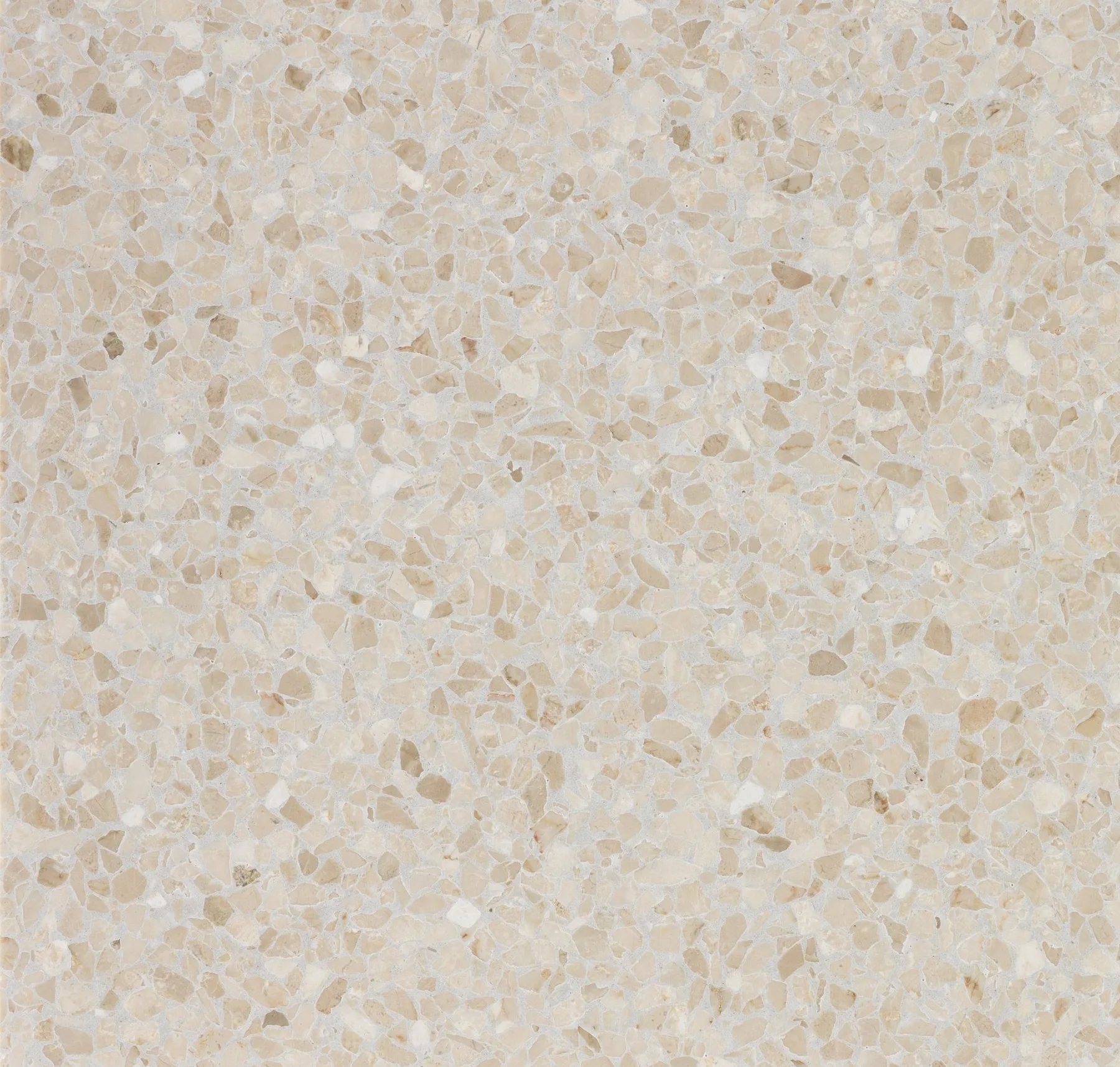 main sample image of Cream Venezia Terrazzo Cream
