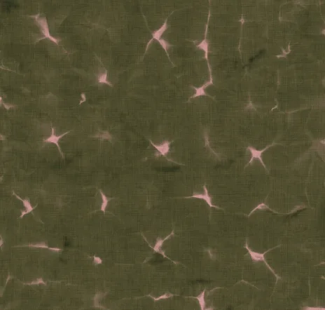main sample image of Moss Kanoko