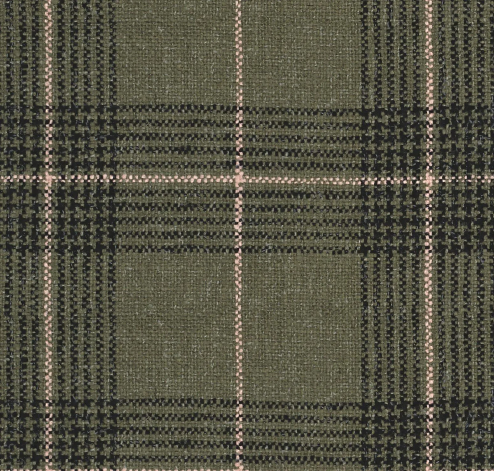 main sample image of Eucalyptus Jinda