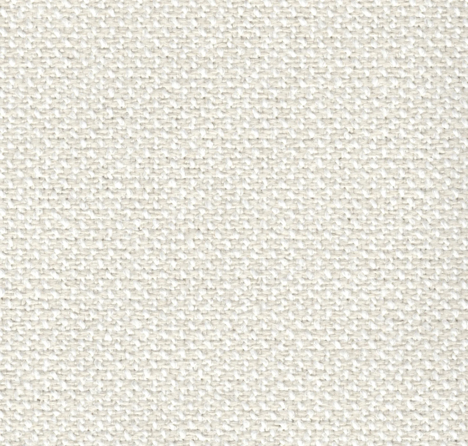 main sample image of Ivory Bluepoint