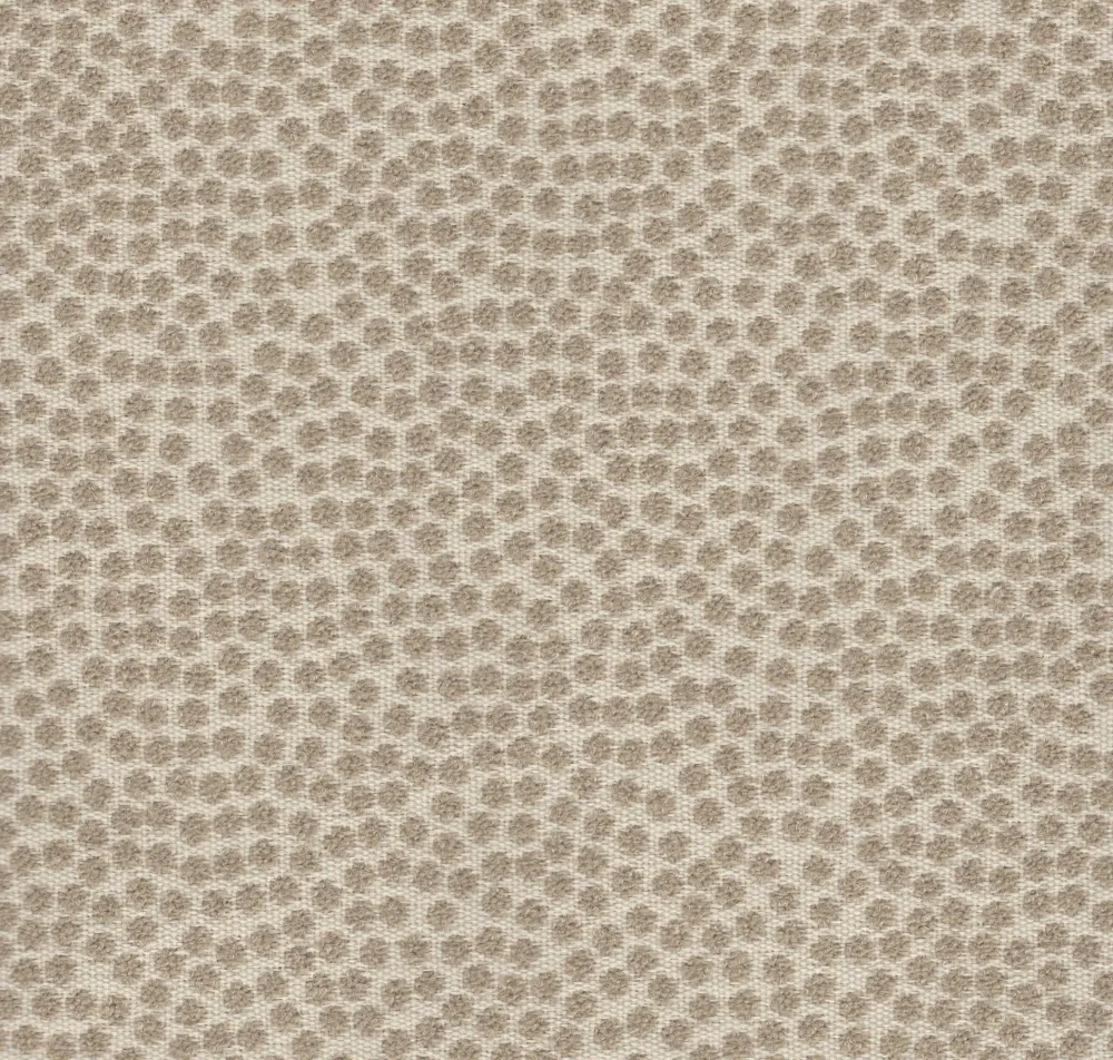 main sample image of Taupe Kit Cat