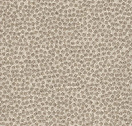 main sample image of Taupe Kit Cat