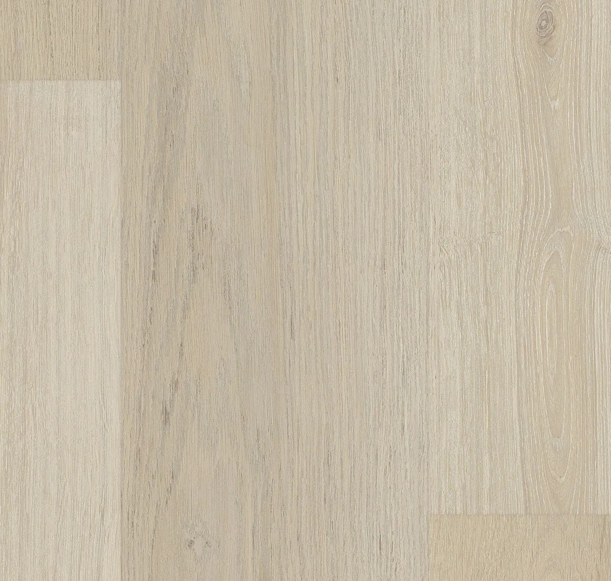 main sample image of Divine Prosecco EverGen