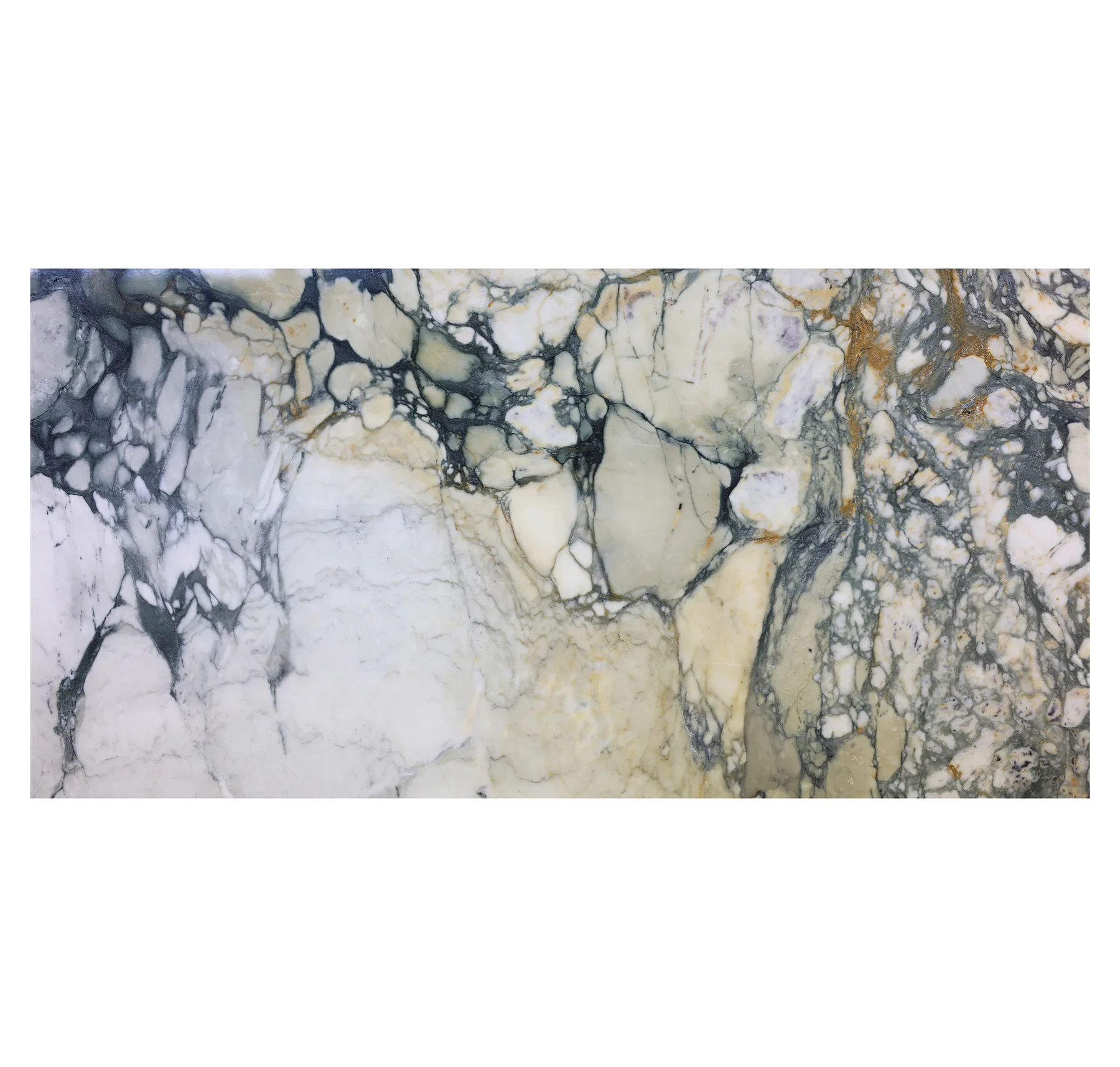 main sample image of Gray Breccia Capraia Marble Slabs 2CM / Lot 2720A