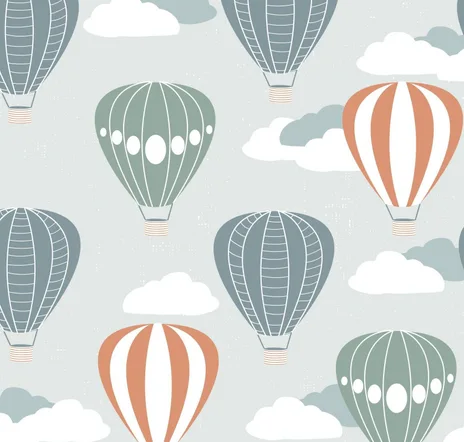 main sample image of Boys Hot Air Balloons Wallpaper