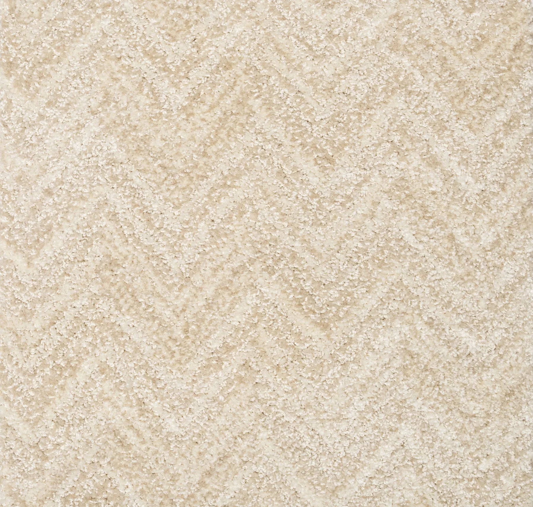 main sample image of Oyster Morgan Carpet