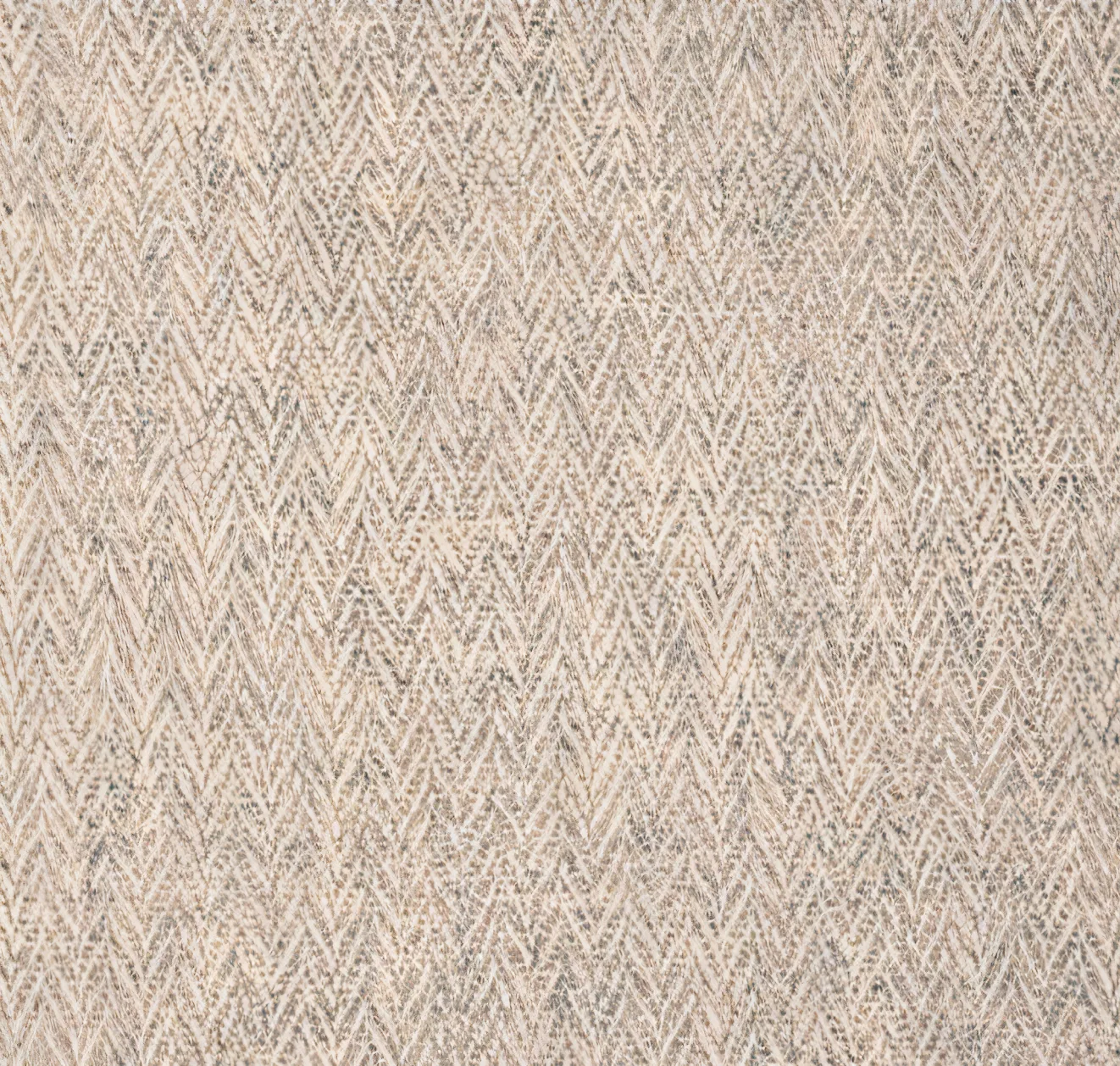 main sample image of Fossil Paradox