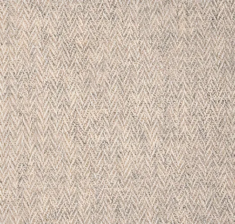 main sample image of Fossil Paradox